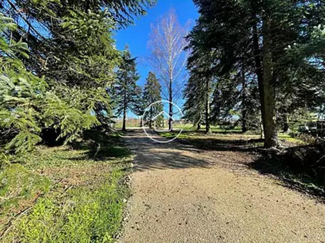 Mont près Chambord 41250 Achat / Vente terrain
