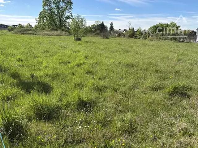 Mont près Chambord 41250 Achat / Vente terrain