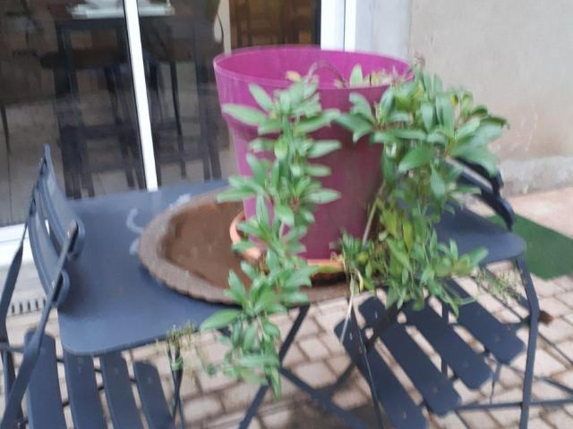 Montchanin Location Maison 71