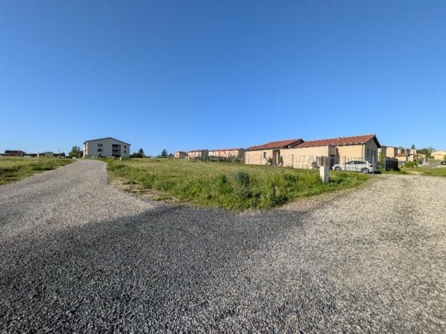 Montanay Vente Terrain 69