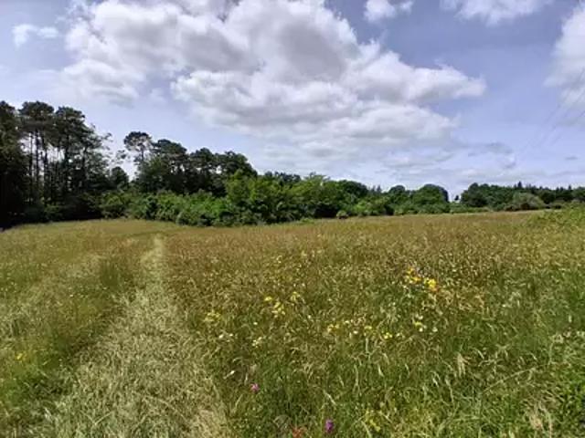 Montagnac la Crempse 24140 Programme neuf terrain neuf à vendre