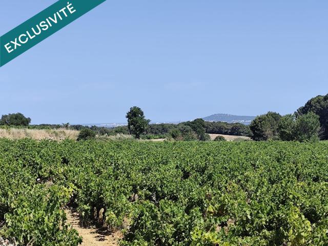 Montagnac Vente Terrain 34