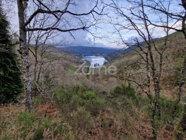 Montalegre Montalegre 94915701