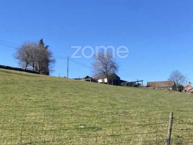 Montalegre Montalegre 97910027