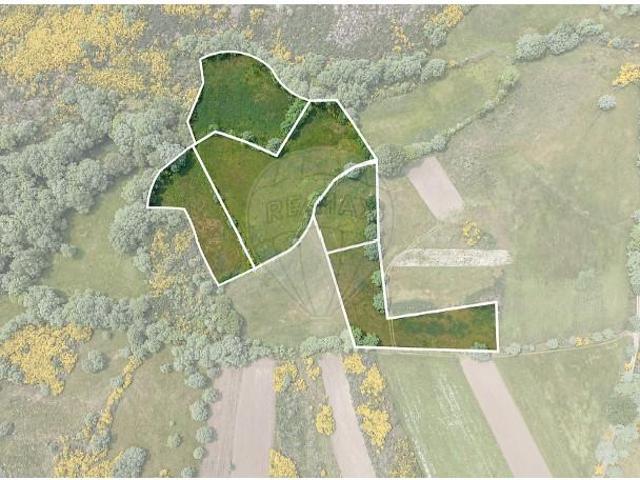 Montalegre Montalegre 97970873