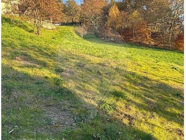 Montalegre Montalegre LS102859273