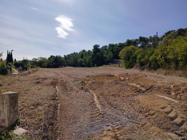 Montarnaud Vente Terrain 34