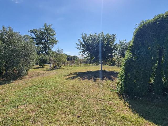 Montastruc la Conseillère Vente Maison 31