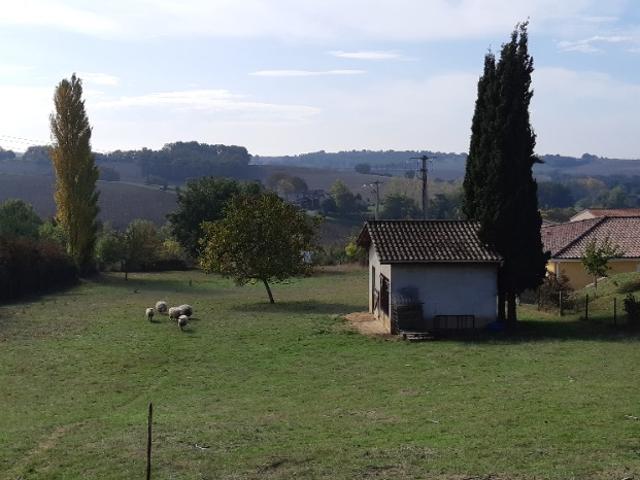 Montastruc la Conseillère Vente Terrain 31