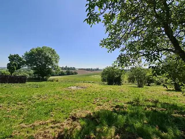 Montastruc la Conseillère 31380 Achat / Vente terrain