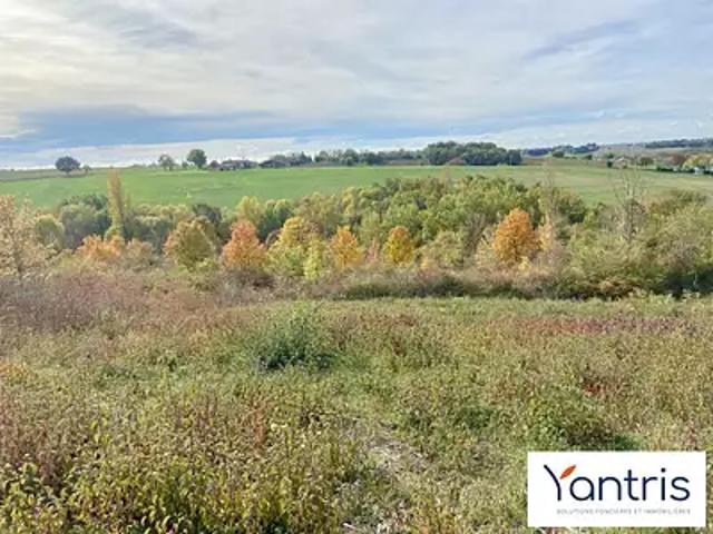 Montastruc la Conseillère 31380 Achat / Vente terrain
