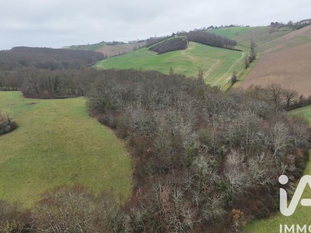 Montastruc Savès Vente Terrain 31