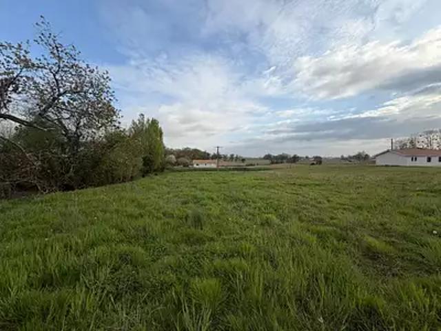 Montaut 40500 Achat / Vente terrain