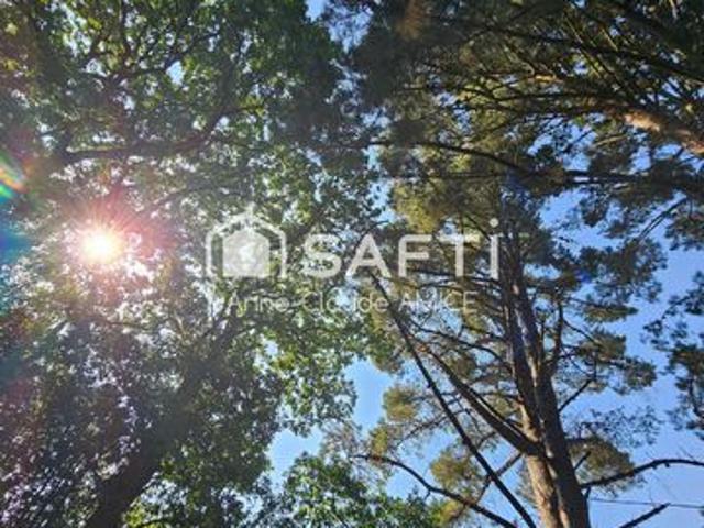 Montauban 35 Jolie propriété pres de la forêt