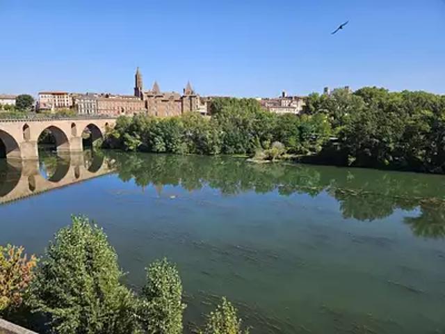 Montauban 82000 Achat / Vente appartement 3 pièces t3