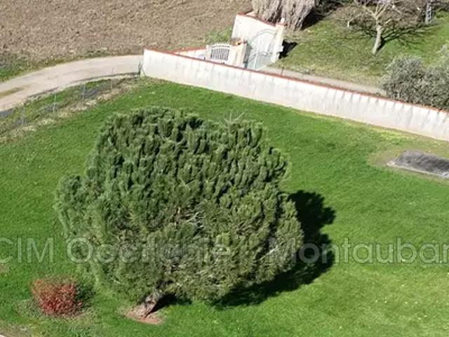 Montauban 82000 Achat / Vente terrain