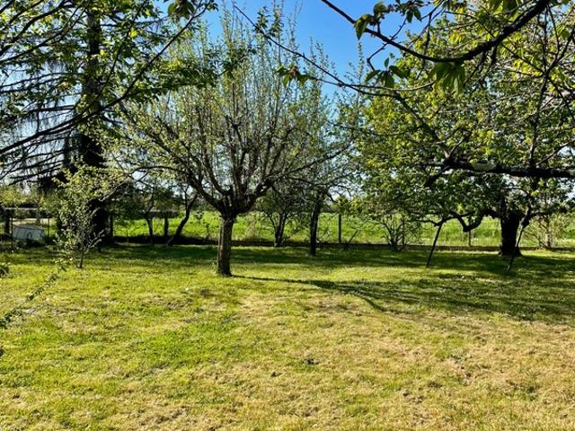 Montauban Vente Terrain 82