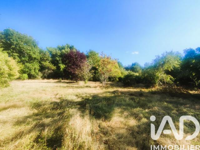 Montauban Vente Terrain 82
