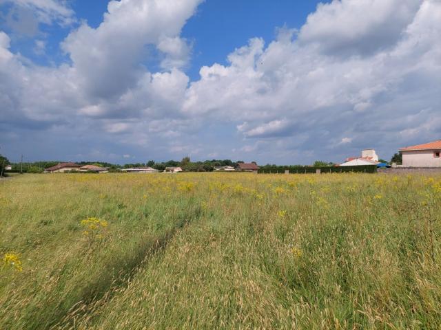 Montauban Vente Terrain 82
