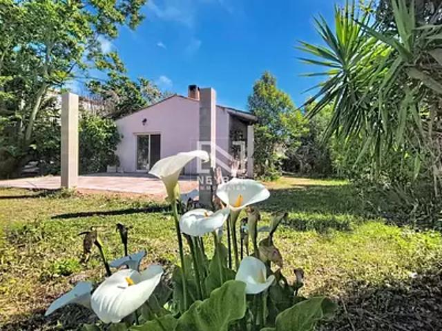 Montauroux 83440 Achat / Vente maison 4 pièces t4 terrasse