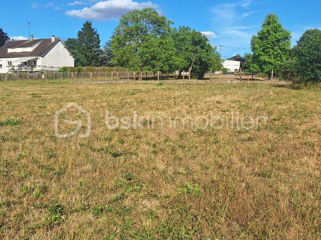 Montbouy Vente Terrain 45