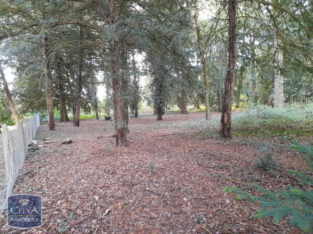 Montbazon Vente Terrain 37