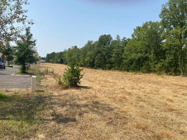 Montbeton Vente Terrain 82