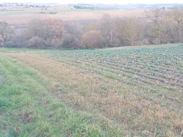 Montbrun Lauragais Vente Terrain 31