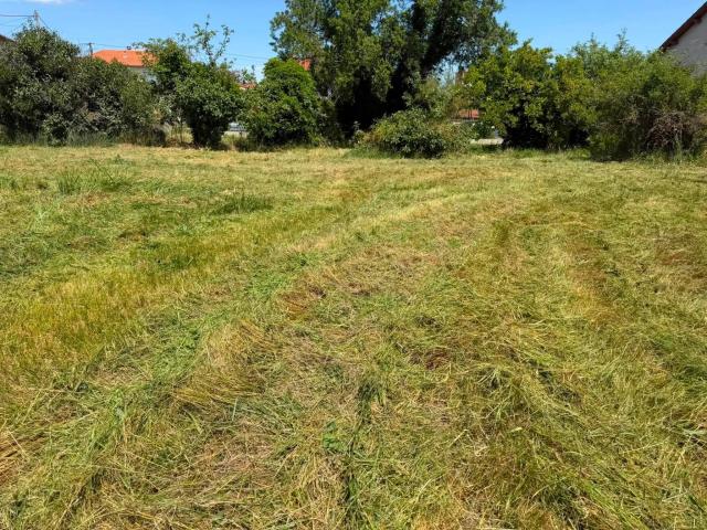 Montbrison Vente Terrain 42