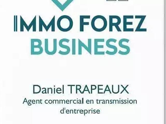Montbrison 42600 Achat / Vente divers