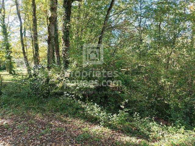 Montgesty Vente Terrain 46