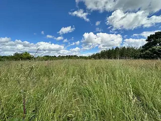 Montguyon 17270 Achat / Vente terrain