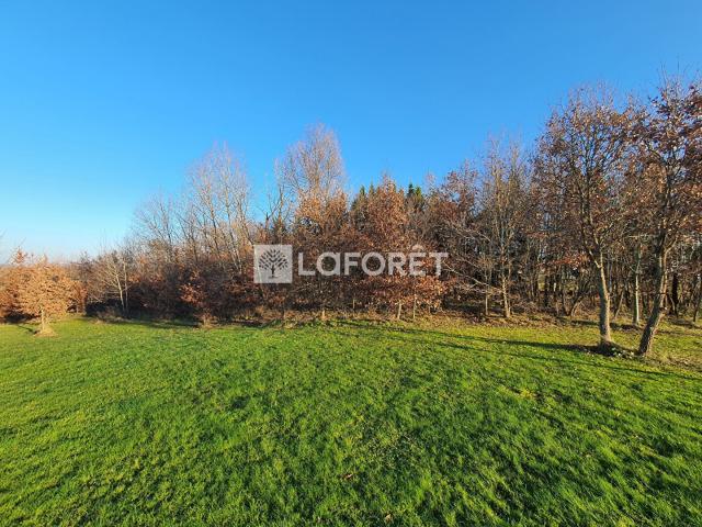 Montdurausse Vente Terrain 81