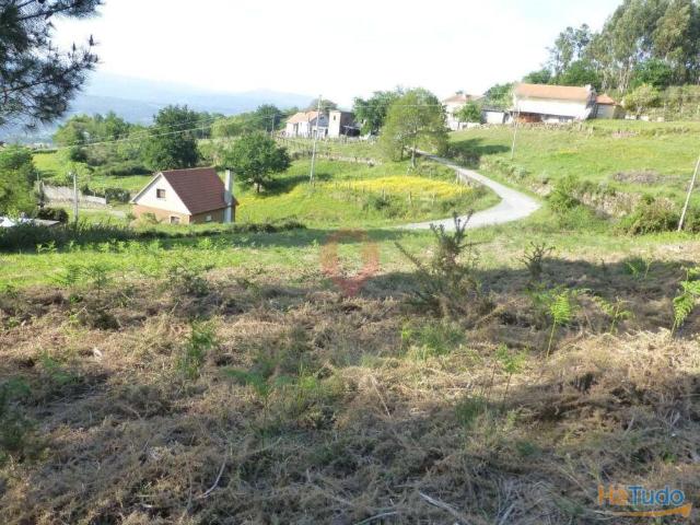 Monte | 26063250388