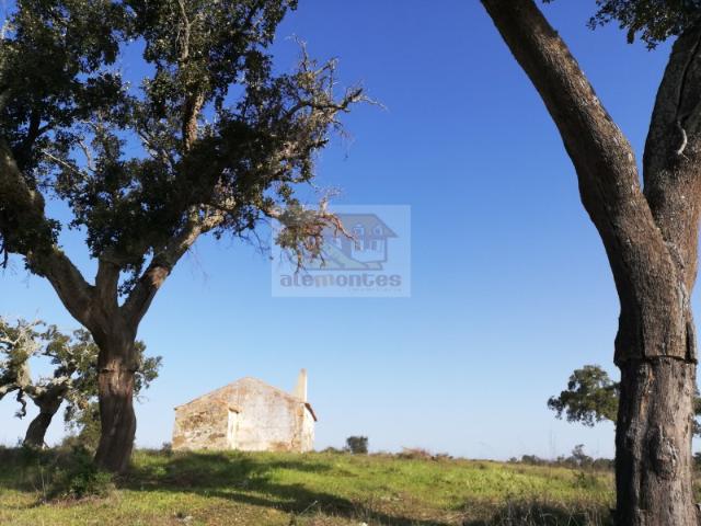 Monte Alentejano na Serra de Grândola com casa típica a 30 minutos das praias!