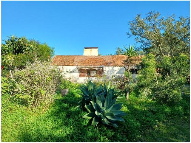 Monte Alentejano aninhado na Natureza Melides