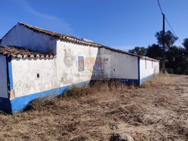 Monte alentejano com 6 ha e ruína para reabilitar a 8 km de Melides e a 10 km das praias marca Comporta