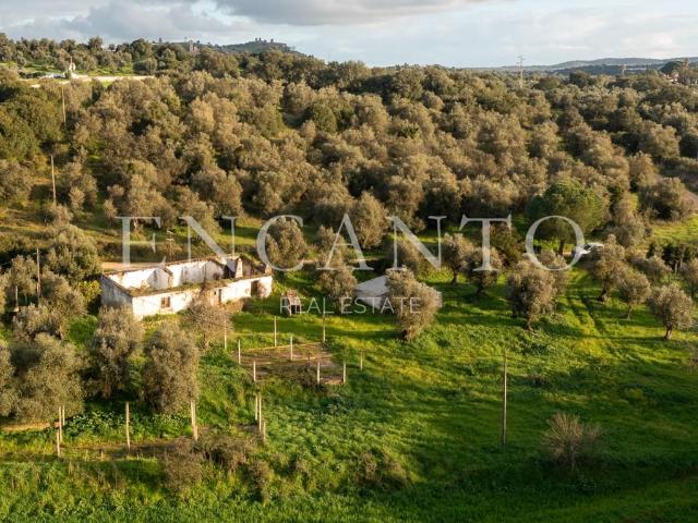 Monte alentejano com 8,2 ha, junto de Montemor o Novo, a 1 h. 163m² Nossa Senhora da Vila, Nossa Senhora do Bispo e Silveiras