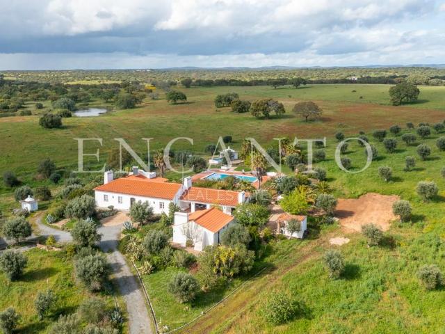 Monte alentejano com 12 hectares em Montemor o Novo, 1 hora. 395m² São Cristóvão