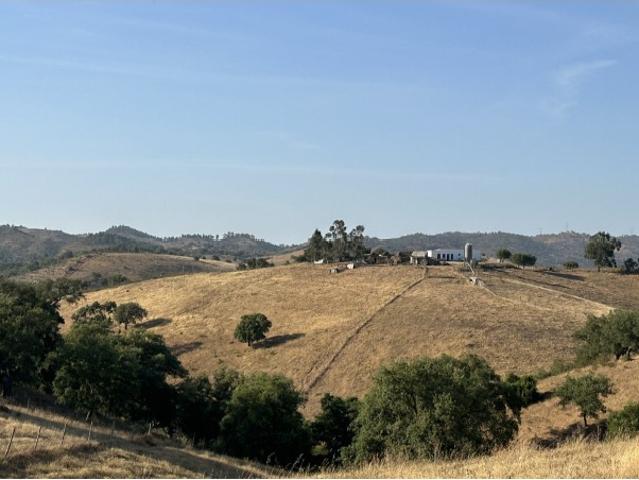Monte Alentejano com vista panorâmica, 37 hectares Portugal