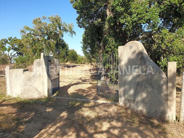Monte Alentejano com cortiça