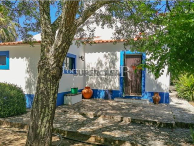 Monte Alentejano com moradia T3 no Alvito Alentejo
