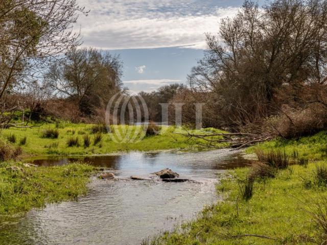 Monte alentejano, em Beja, Alentejo