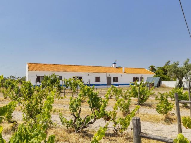 Monte Alentejano em Grândola 250m² Grândola e Santa Margarida da Serra