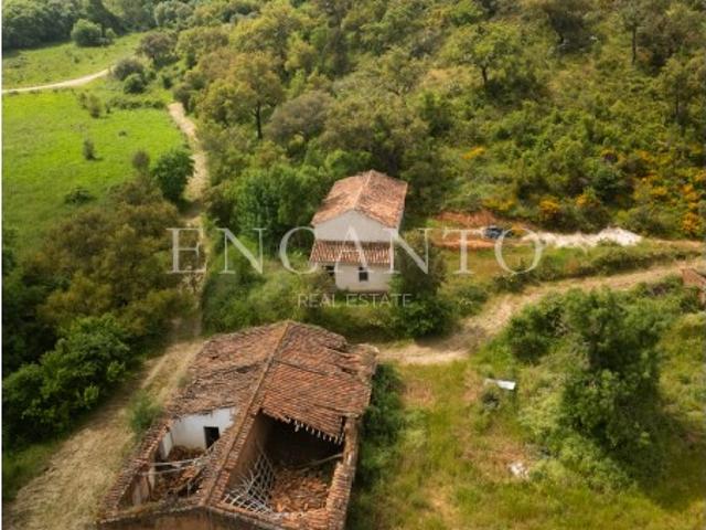Monte alentejano inserido num terreno com 11 hectares