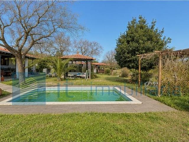 Monte alentejano / Quinta / Herdade