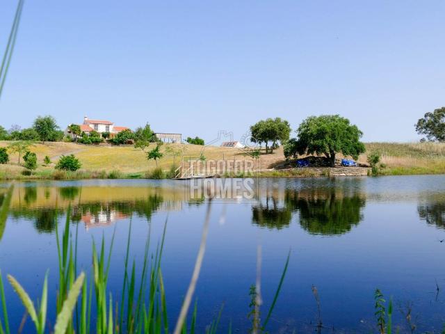 Monte Alentejano — Refúgio moderno com lago privado, perto de Ourique, Sul do Alentejo