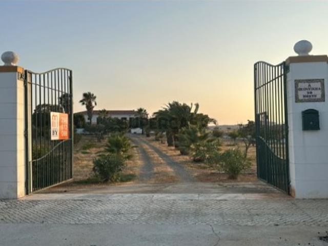 Monte Alentejano, Sapos, Mértola