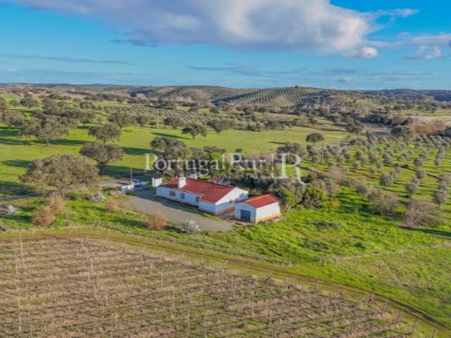 Monte Alentejano T5 Habitável 7 hectares Vinha Região de Portalegre
