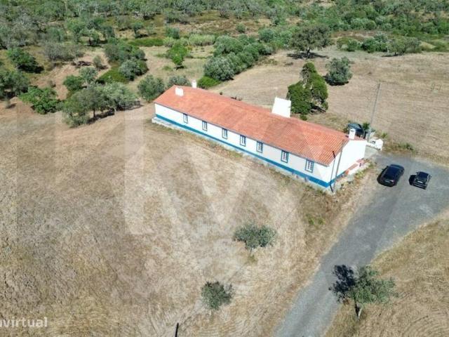 Monte Alentejano: Tradio e Harmonia no Montado